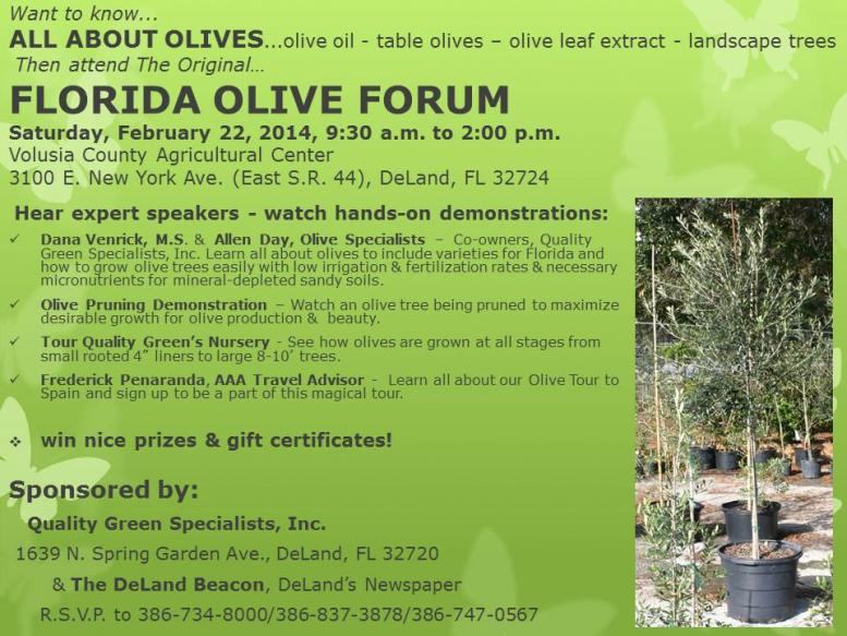 Florida Olive Forum 2014